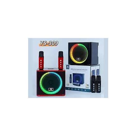 Караоке колонка Bluetooth LED 2MIC YS-309 - 1