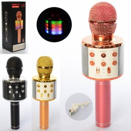 Микрофон X15317 (20шт) 23см, аккум, свет,Bluetooth,FM,USBзар,TF,запись,3цвета, в кор-ке,8-24,5-9,5см - 1