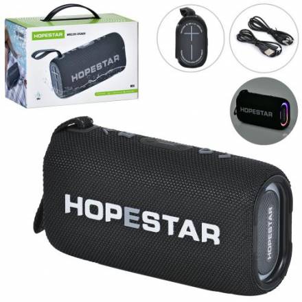 Колонка FG240430019Q (9шт) 19-10-5,5см, акум, 2400mA, 6Wх2, світло, Bluetooth, USBзарядне, TFслот, M - 1