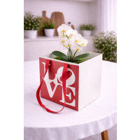 Пакет 8916-013 32*32*32см кохання