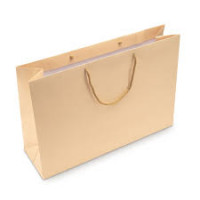 Пакет подарунковий великий горизонтальний 300-400