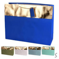 Пакет подарунковий супергігант XXL "Style" 60*40*22см R34584-XXL
