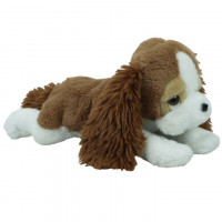 Спаніель лежачий/00120-90