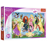 Trefl Пазли "100" Princess Чарівні принцеси 64176