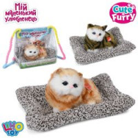 М'яка іграшка 2604-05 (24шт) кіт на килимку (кіт 10,5см, килимок-антистрес, 21-13см), звук, 2 види,