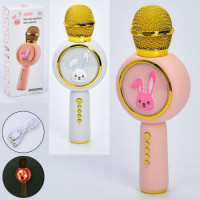 Мікрофон X6 (30шт) 23см, акум, USBзарядне, світло,  2 кольори, в кор-ці, 9,5-24-5,5см