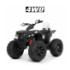 Квадроцикл M 4795EBLR-1 р/к2,4G, 1акум.12v14AH, 4 мот.45W - 1