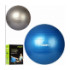 Мяч для фитнеса MS 1540 (12шт) 65см, перламутр, насос, 2цвета, в кор-ке - 1